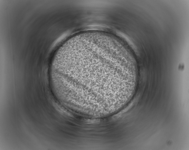 X0000100951403200807221110