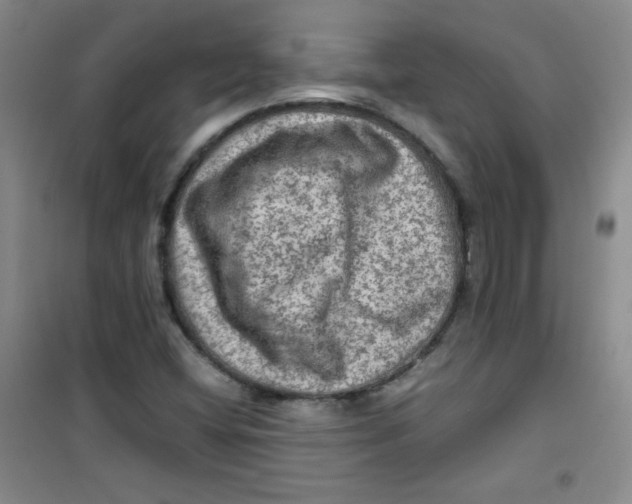 X0000100951404200807221110