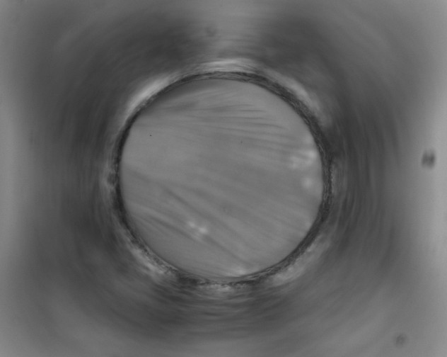 X0000100951405200807221110