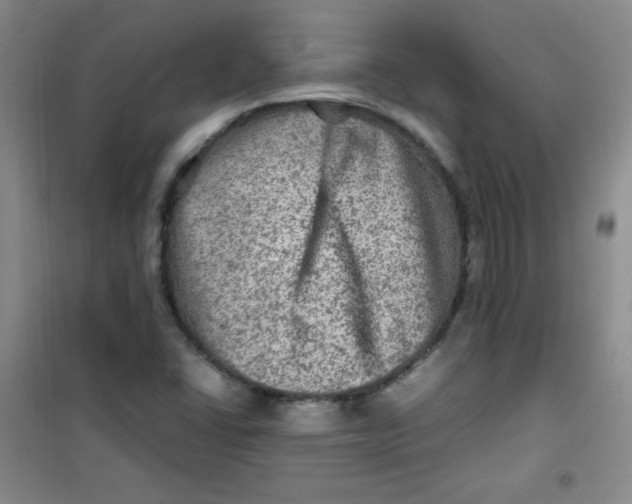 X0000100951406200807221110