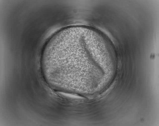 X0000100951407200807221110