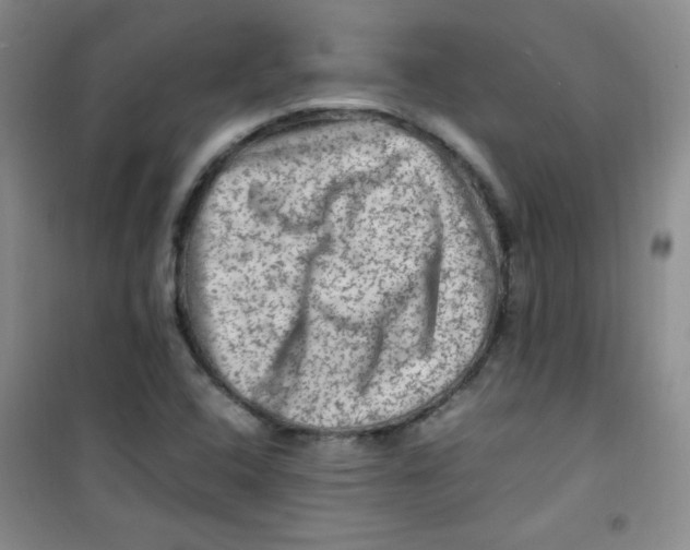 X0000100951408200807221110