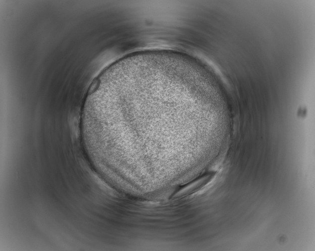 X0000100951409200807221110