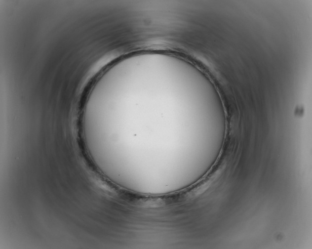 X0000100951410200807221110