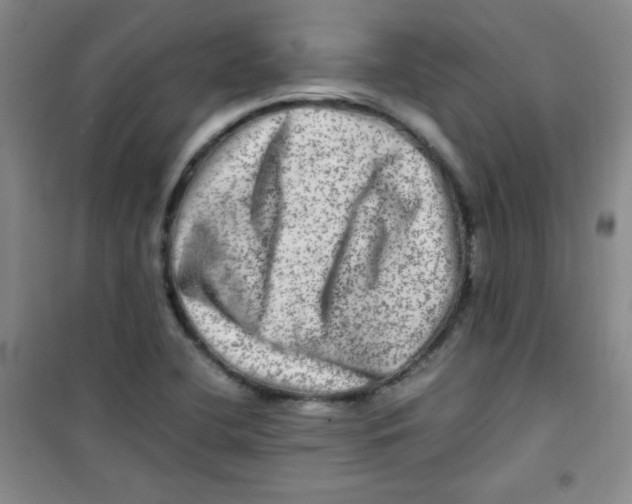 X0000100951412200807221110