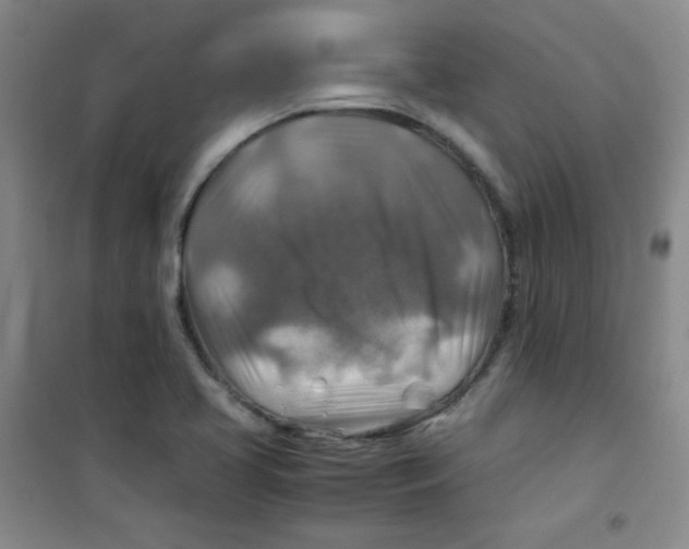 X0000100951413200807221110