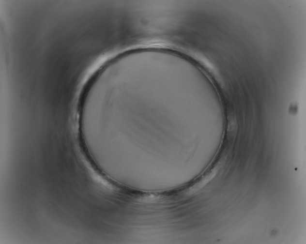 X0000100951414200807221110