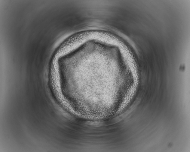 X0000100951415200807221110