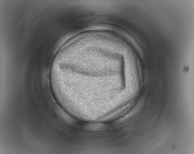 X0000100951417200807221110