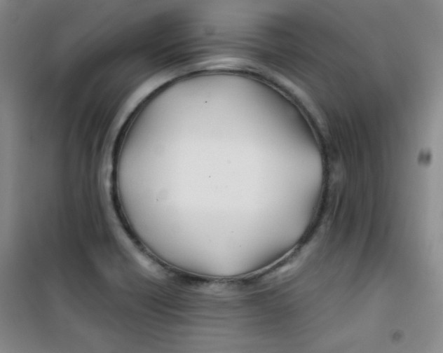 X0000100951418200807221110