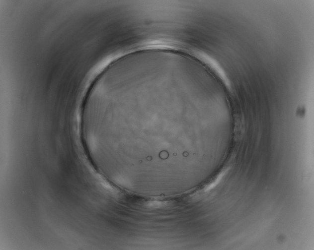 X0000100951419200807221110