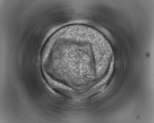 X0000100951420200807221110