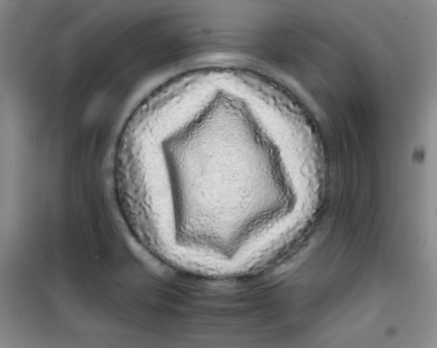 X0000100951421200807221110