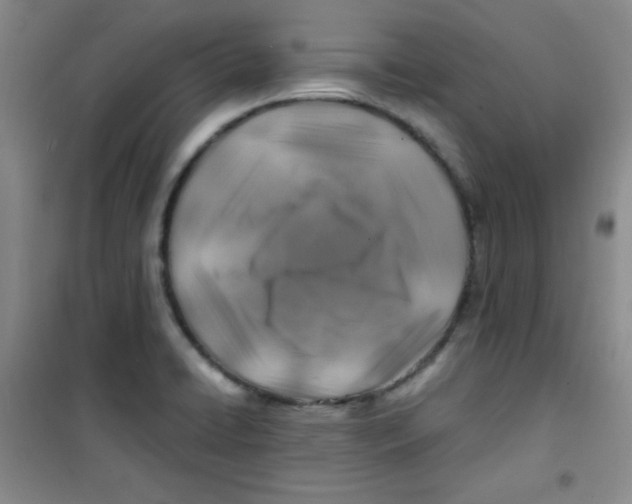 X0000100951422200807221110