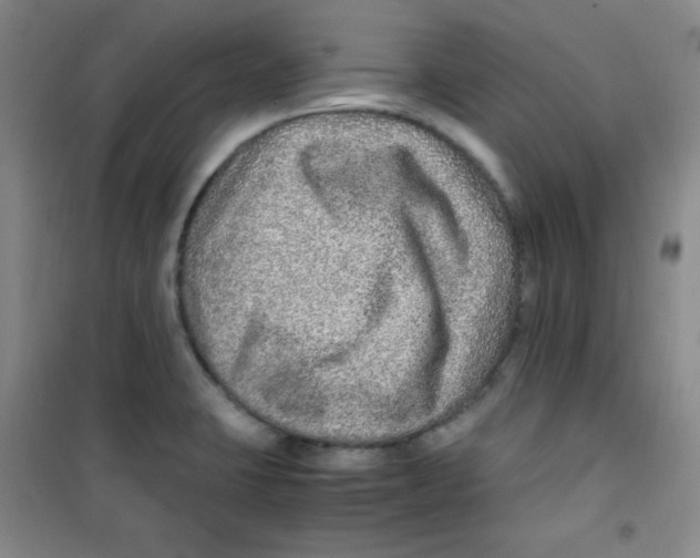 X0000100951423200807221110