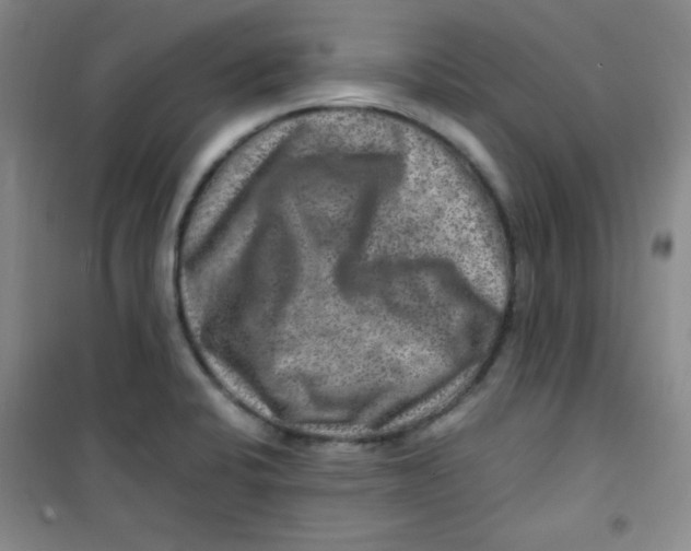 X0000100951424200807221110