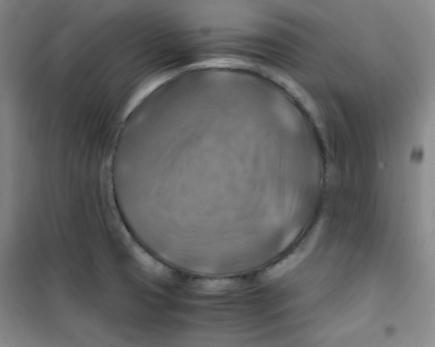 X0000100951425200807221110