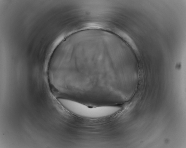 X0000100951427200807221110