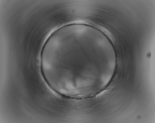 X0000100951428200807221110