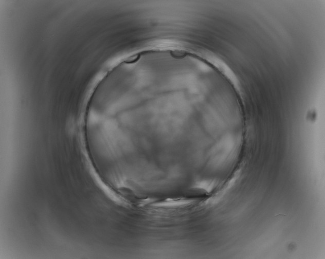 X0000100951429200807221110