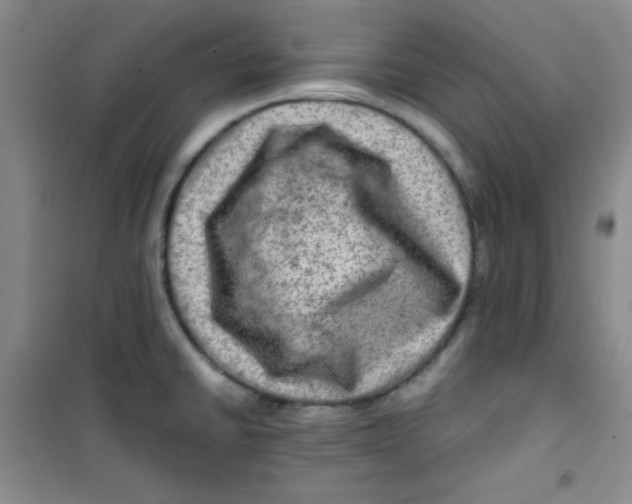 X0000100951430200807221110