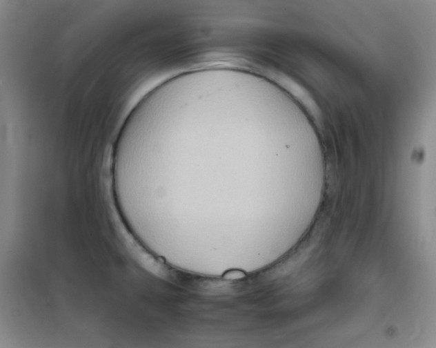 X0000100951431200807221110