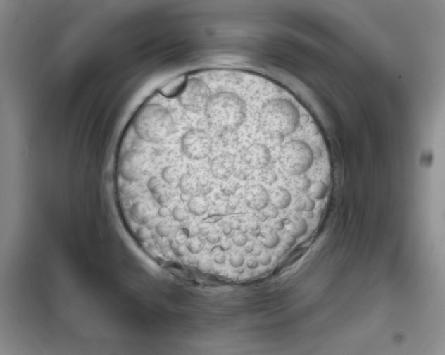 X0000100951432200807221110