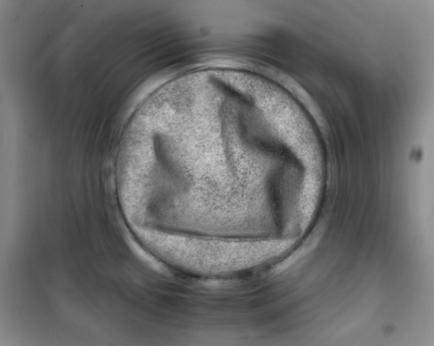 X0000100951433200807221110