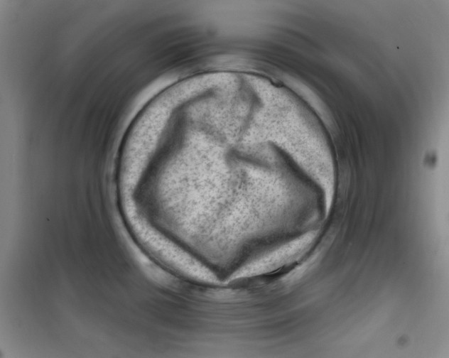 X0000100951434200807221110