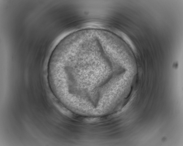 X0000100951435200807221110