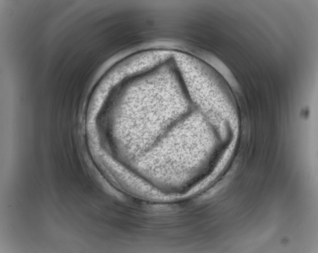 X0000100951436200807221110