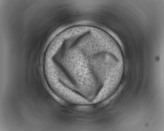 X0000100951437200807221110