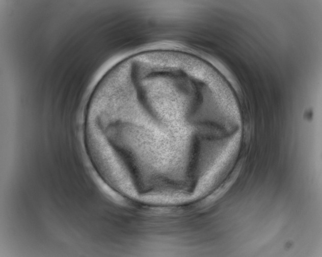 X0000100951438200807221110