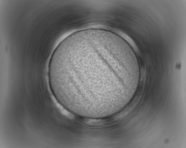 X0000100951439200807221111