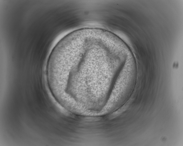 X0000100951440200807221111