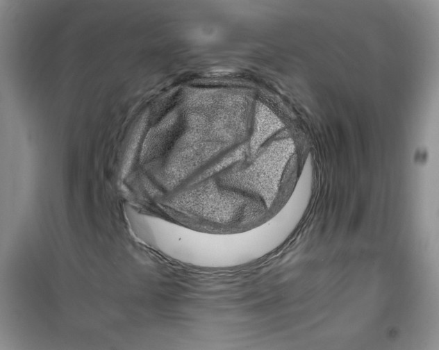 X0000100951441200807221110