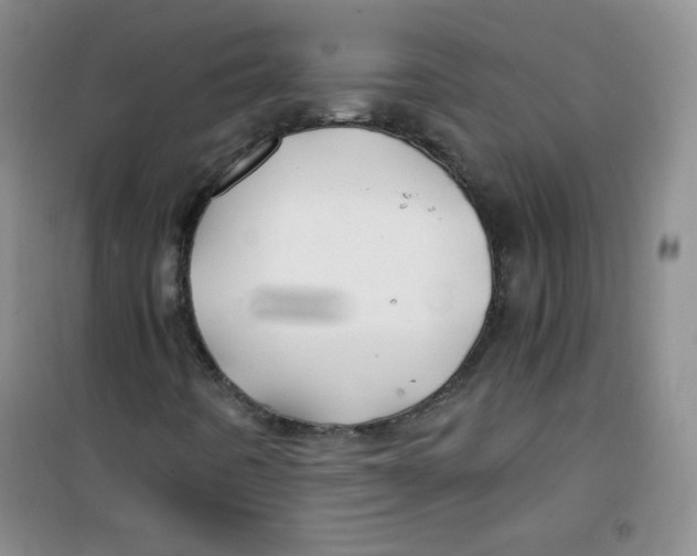 X0000100951442200807221110