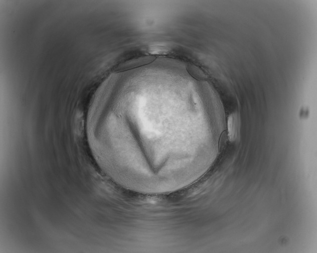 X0000100951443200807221110