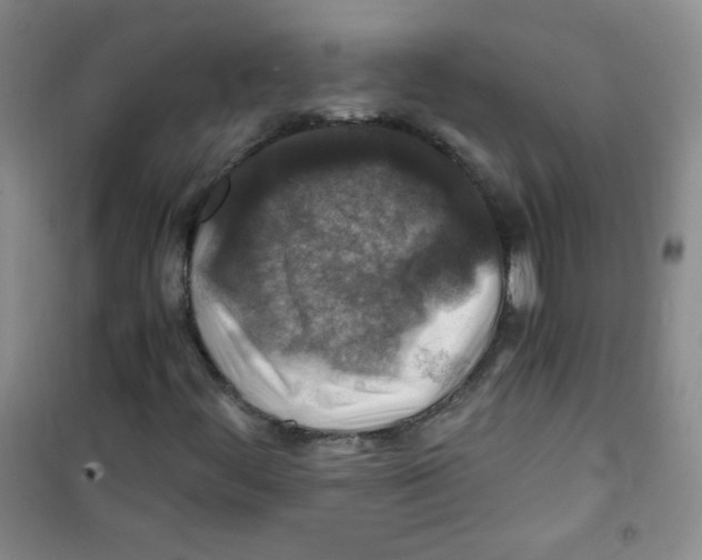 X0000100951444200807221110