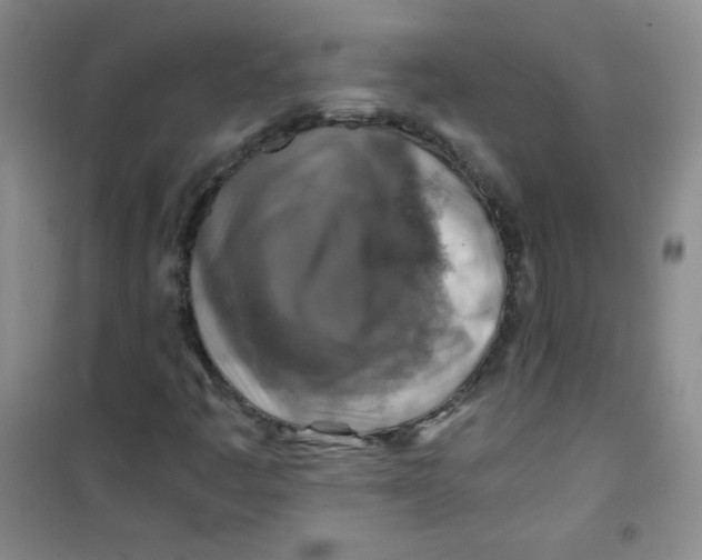 X0000100951445200807221110