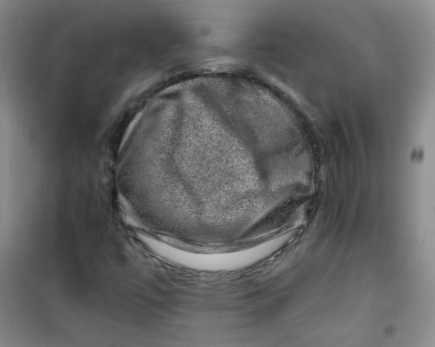 X0000100951447200807221110