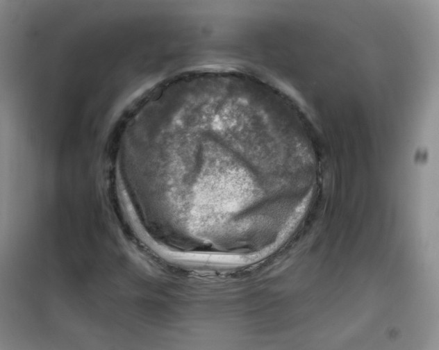 X0000100951448200807221110