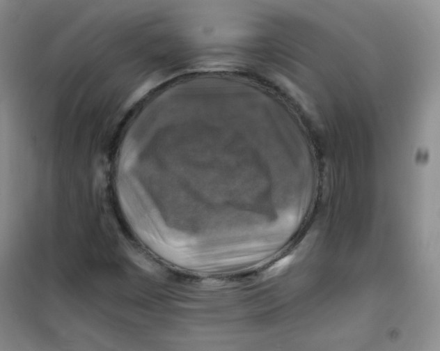 X0000100951449200807221110