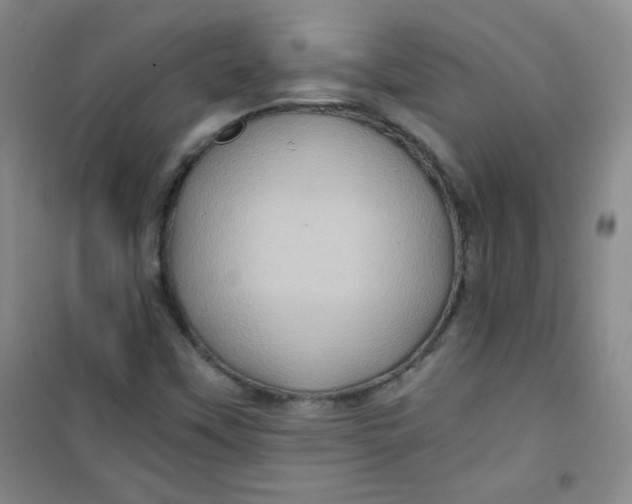 X0000100951451200807221110