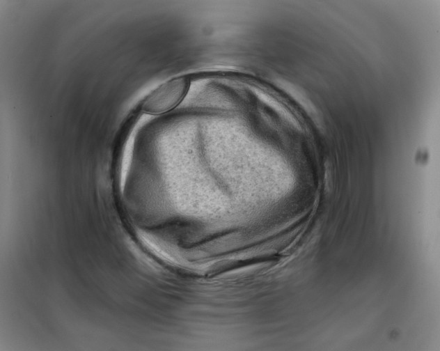 X0000100951452200807221110