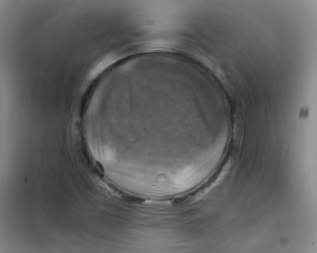 X0000100951453200807221110