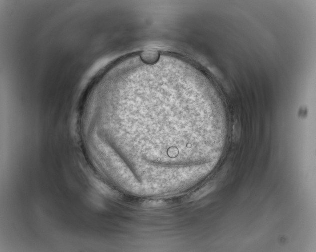 X0000100951454200807221110