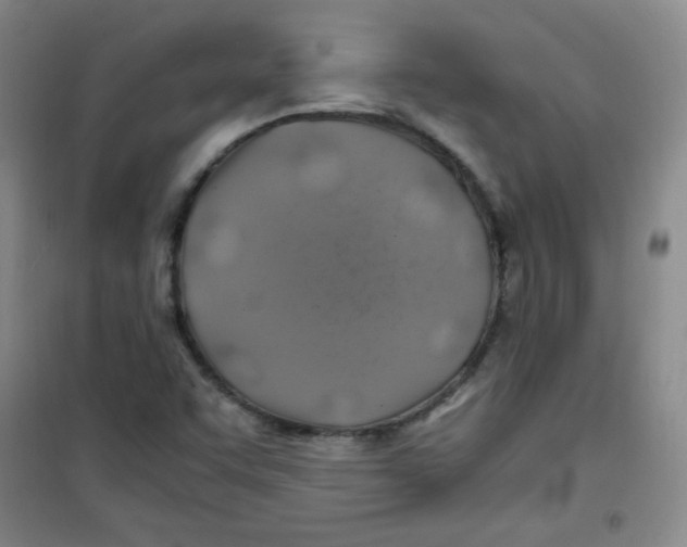 X0000100951455200807221110