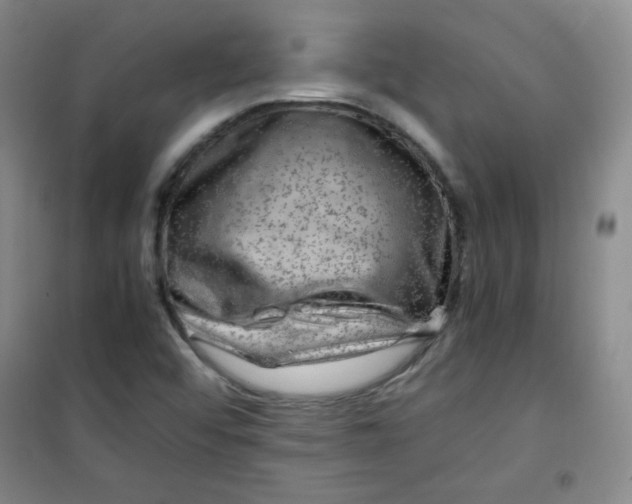 X0000100951456200807221109