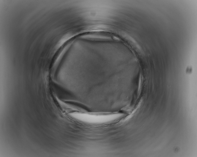 X0000100951457200807221109